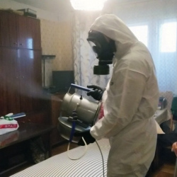 Дезинфекция от клопов в Мурино