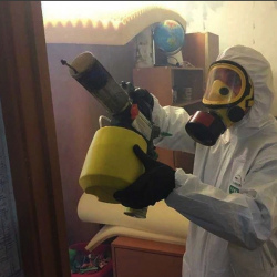 Уничтожение клопов в квартире. Мурино
